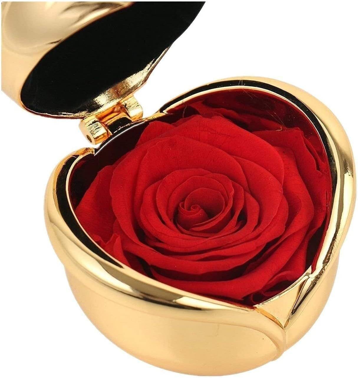Preserved Rose