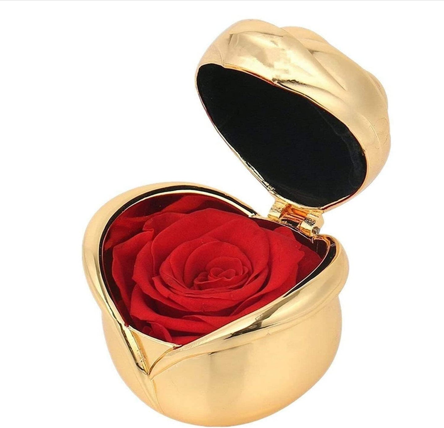 Preserved Rose