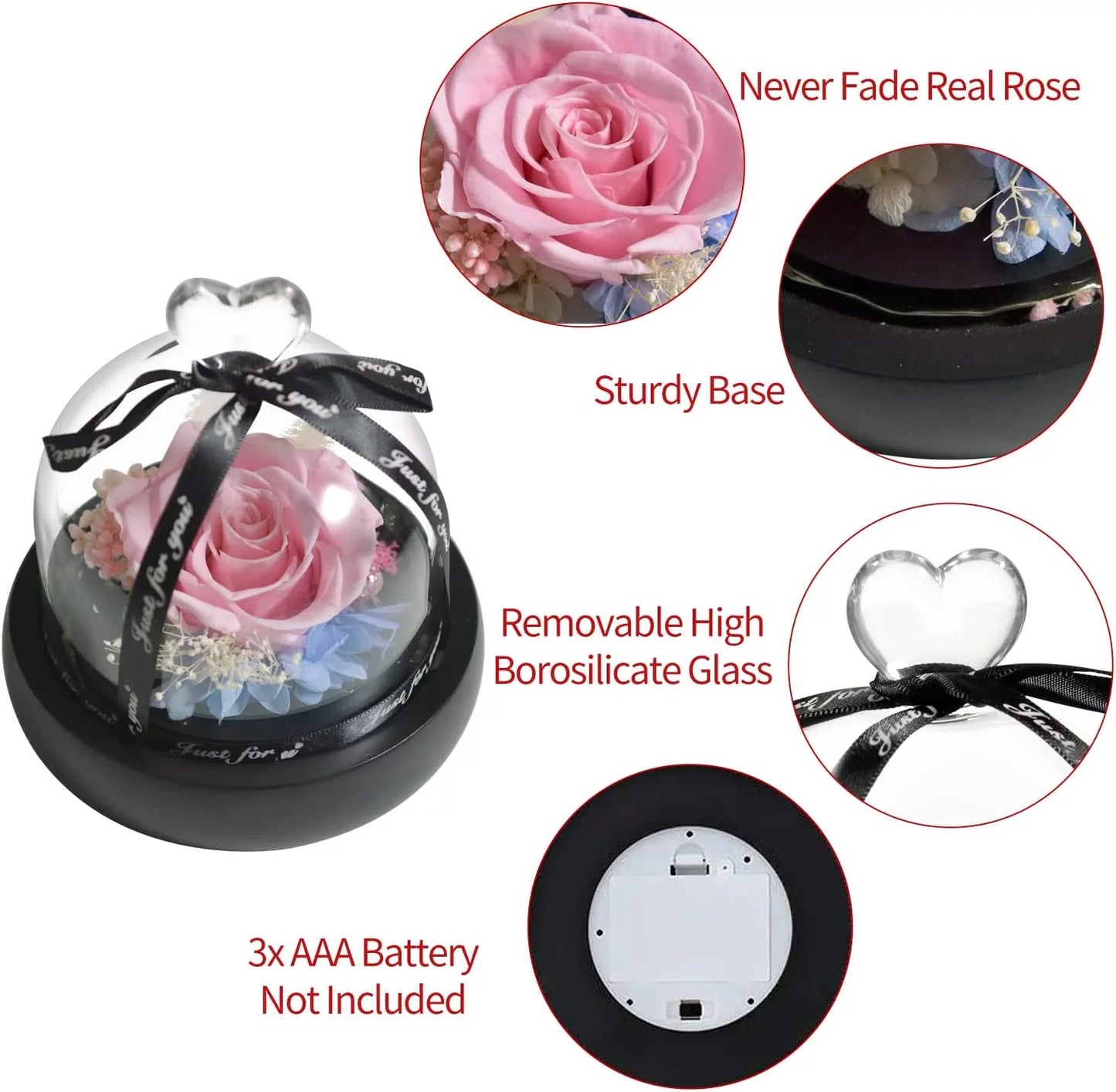 Forever Preserved Real Pink Rose in Glass Dome