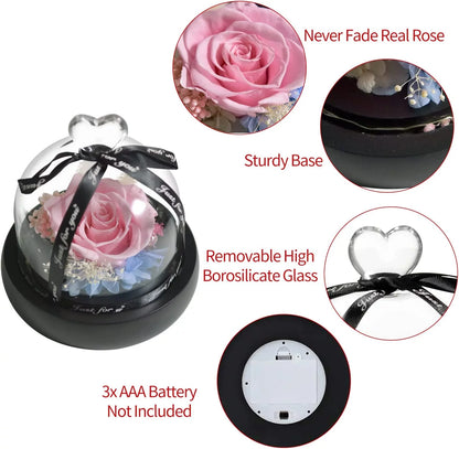 Forever Preserved Real Pink Rose in Glass Dome